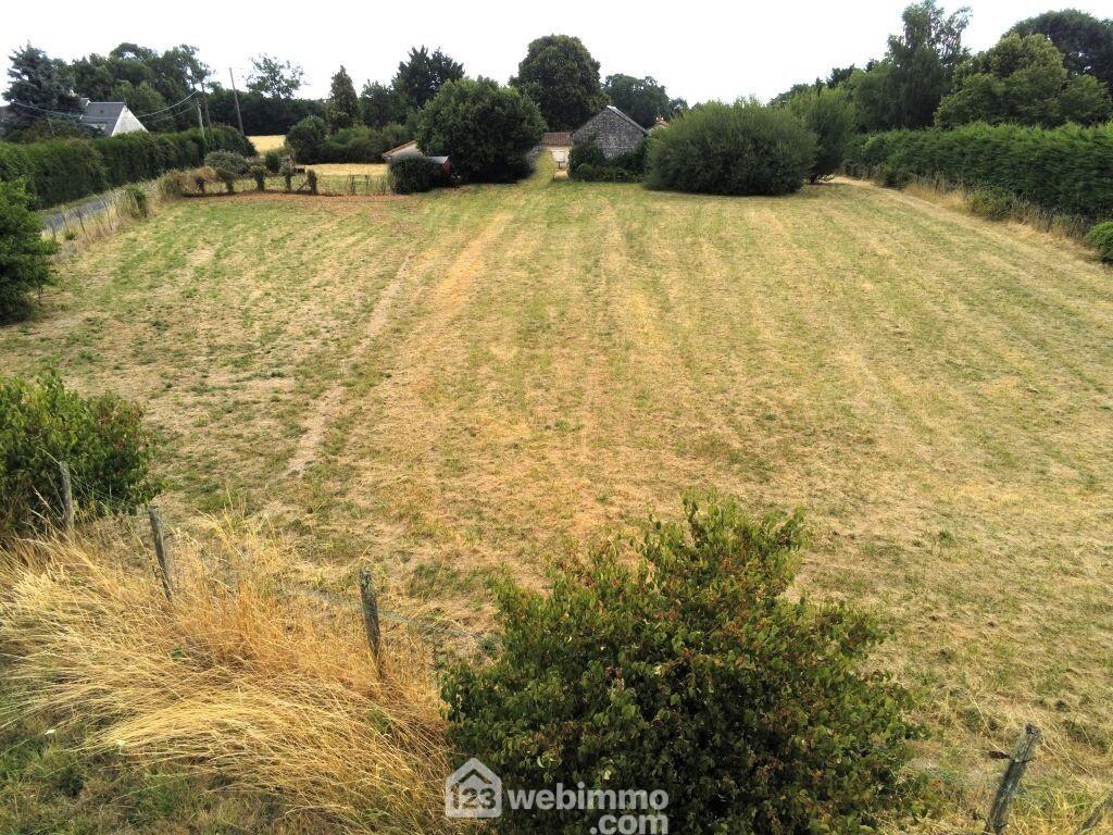 Photo Terrain à bâtir - 1875m² - Leigné-sur-Usseau image 3/4