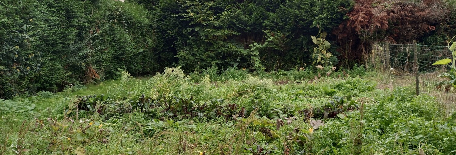 Terrain  588 m² à vendre à Ambleville (95710)