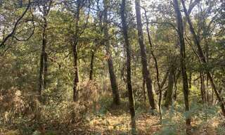 Terrain  2890 m² à vendre à Langon (35660)