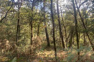 Terrain  11900 €