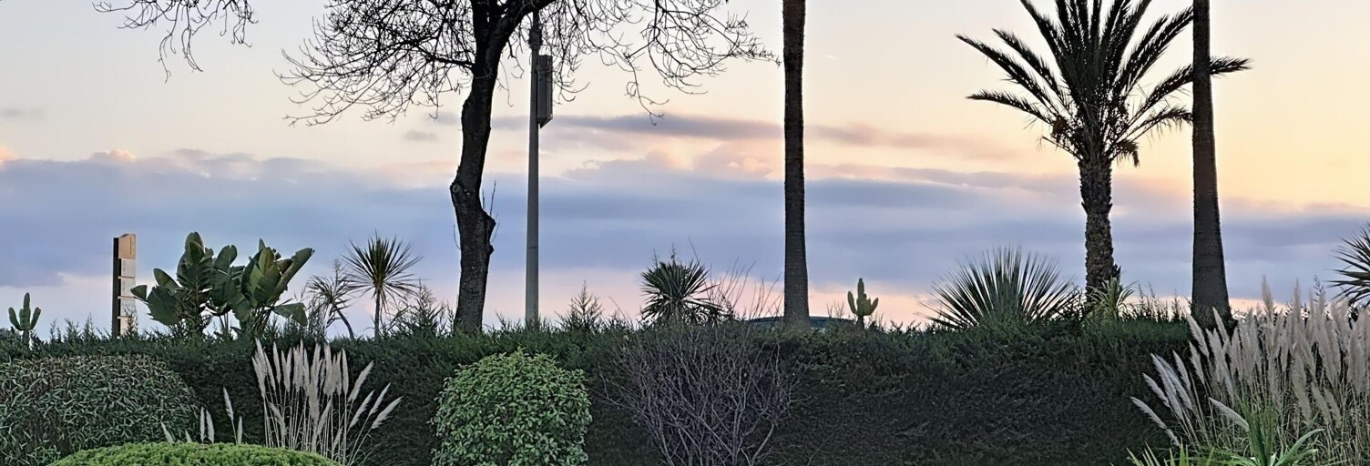 Appartement 1 Pièce 32 m² à vendre à Bandol (83150)