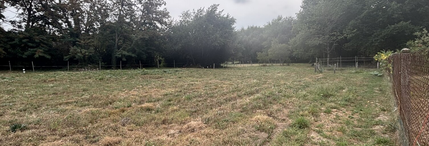 Terrain  4628 m² à vendre à Saint-Benoît-la-Forêt (37500)