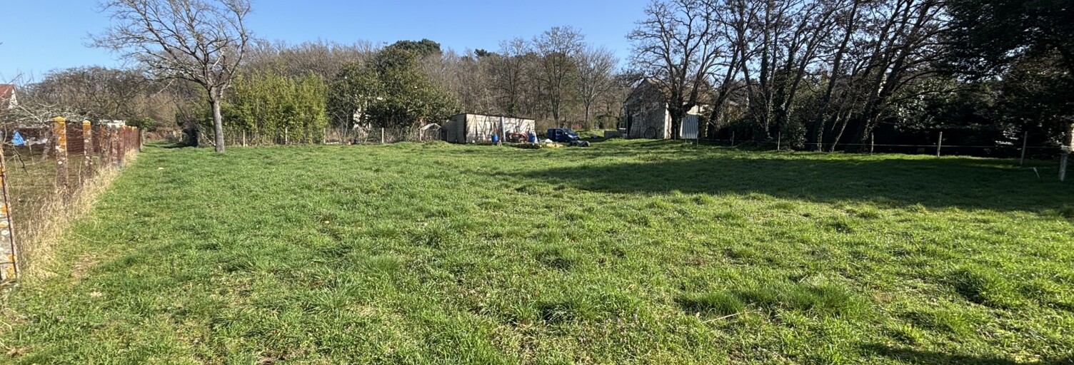 Terrain  5332 m² à vendre à Saint-Benoît-la-Forêt (37500)