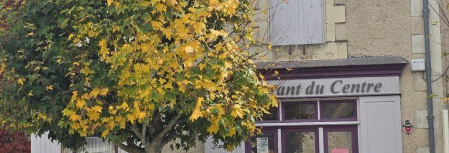 Commerce  400 m² à vendre à Bouresse (86410)