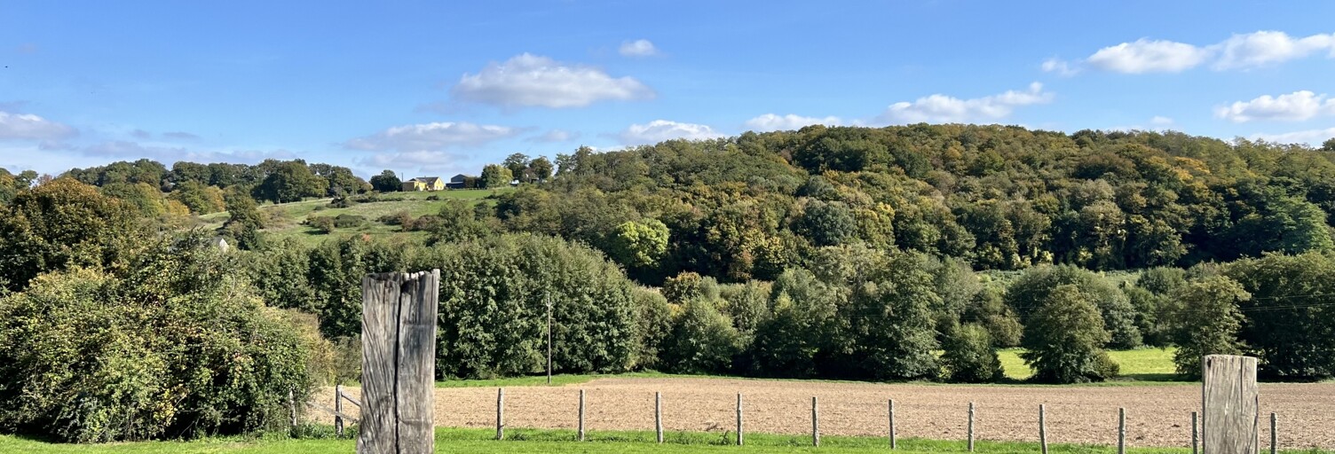 Maison 5 Pièces 136 m² à vendre à Thoiré-sur-Dinan (72500)