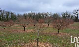 Terrain  11755 m² à vendre à Bach (46230)