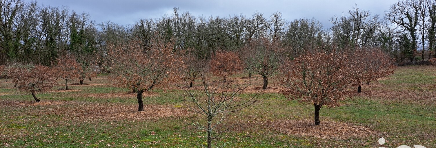 Terrain  11755 m² à vendre à Bach (46230)