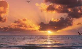 Appartement 1 Pièce 15 m² à vendre à Lacanau (33680)