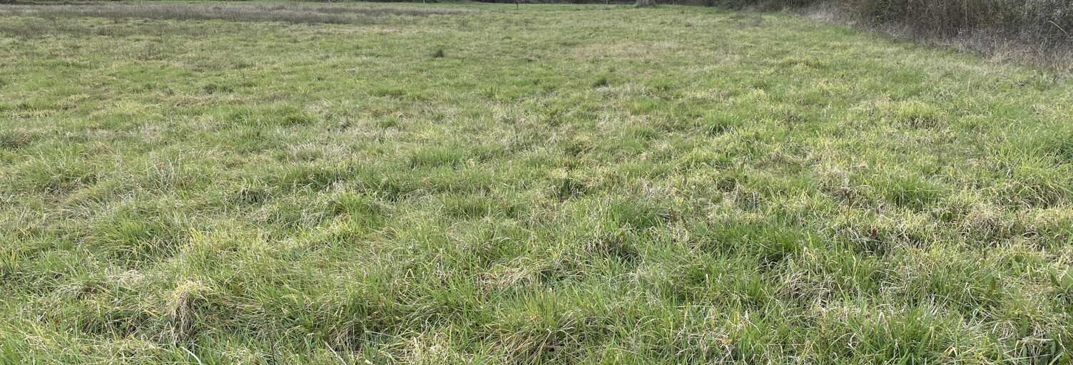 Terrain  2500 m² à vendre à Jû-Belloc (32160)