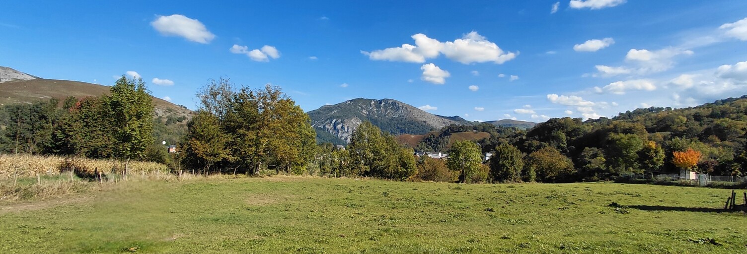 Terrain  1029 m² à vendre à Ségus (65100)