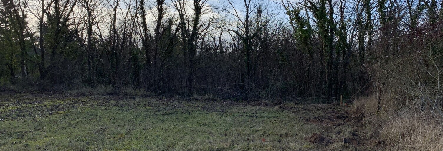 Terrain  4860 m² à vendre à Misy-sur-Yonne (77130)