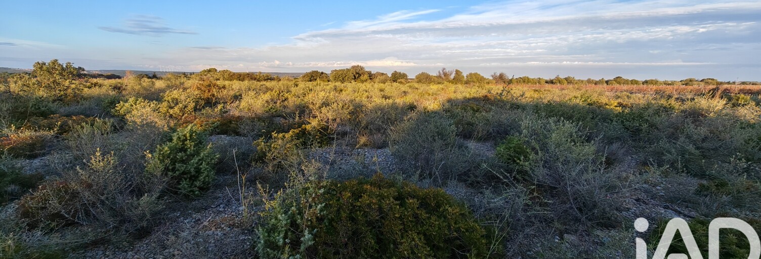 Terrain  3300 m² à vendre à La Palme (11480)