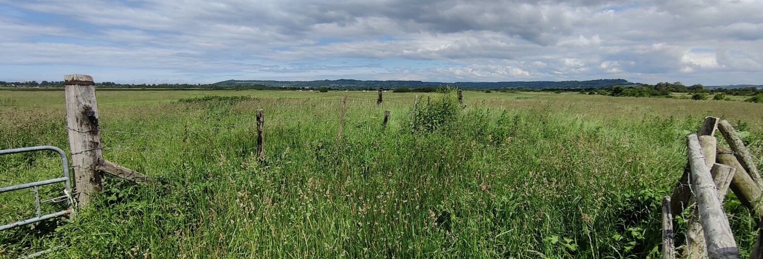 Terrain  42000 m² à vendre à Varaville (14390)