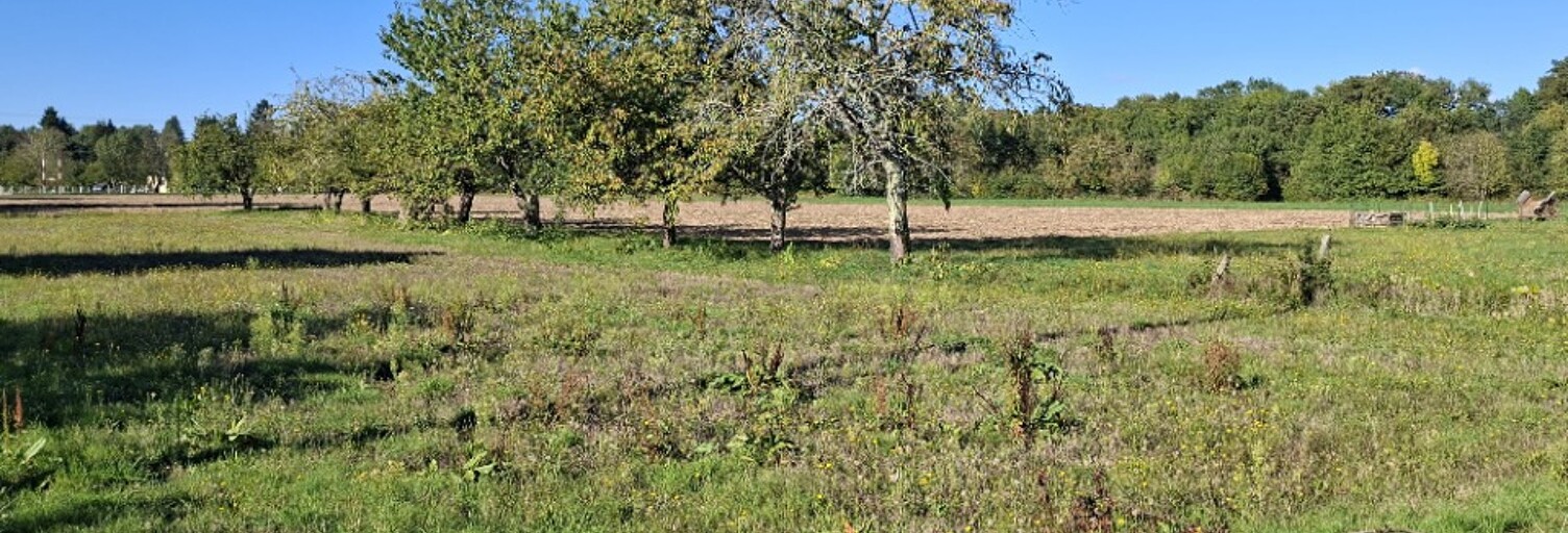 Terrain  1000 m² à vendre à Bergerac (24100)