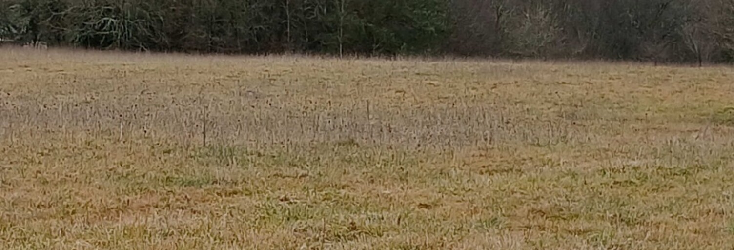 Terrain  1028 m² à vendre à Verteillac (24320)