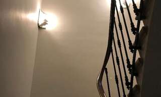 Maison 5 Pièces 120 m² à louer à Bordeaux (33000)
