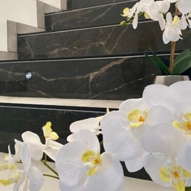 Maison 7 pièces 460000 €