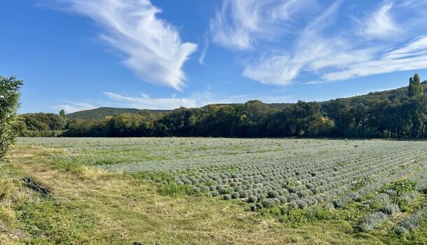 Villa / Maison 4 pièces  à louer Granges-Gontardes (Les) 26290
