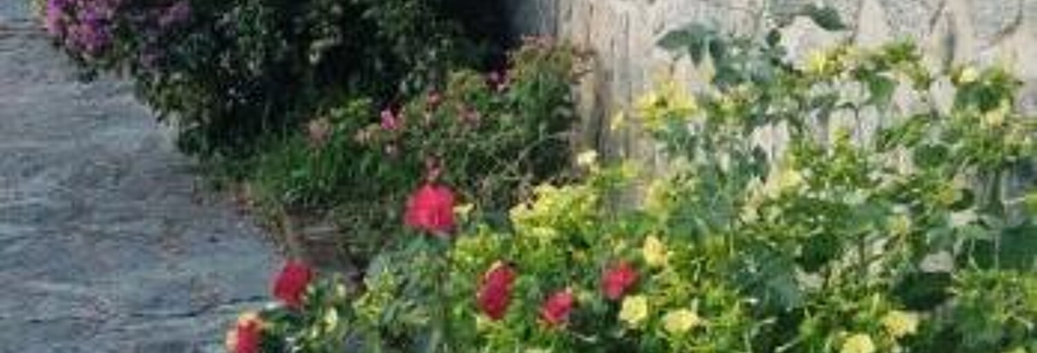 Maison 4 Pièces 150 m² à louer à Petreto-Bicchisano (20140)