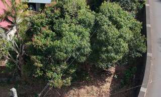 Terrain  291 m² à vendre à Les Trois-Bassins (97426)