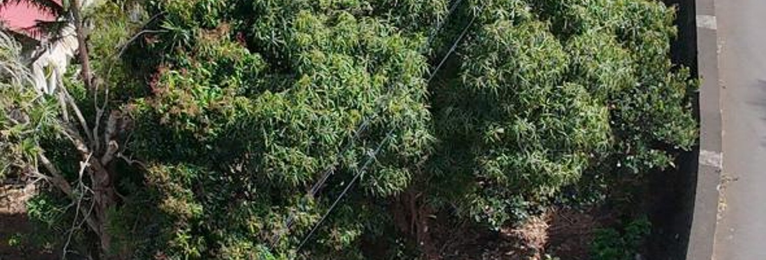 Terrain  291 m² à vendre à Les Trois-Bassins (97426)