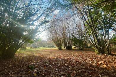 Terrain  195000 €