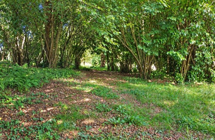 Vaste terrain à bâtir - Cadre privilégié — photo 2