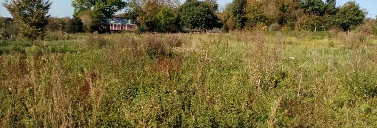 Terrain  2538 m² à vendre à Héricourt-en-Caux (76560)