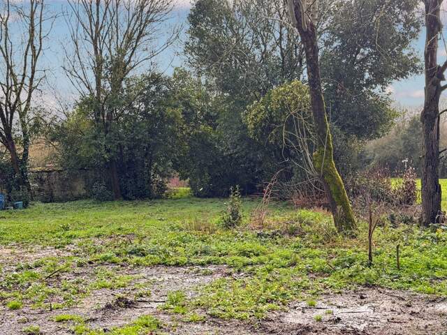 Terrain à bâtir — photo du bien