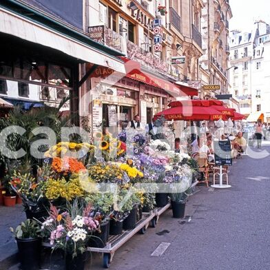 Commerce 1 pièces 82000 €