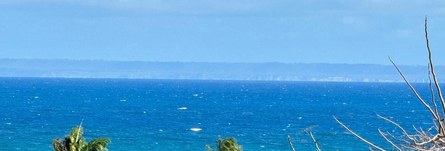 Maison 6 Pièces 180 m² à vendre à Sainte-Anne (97180)