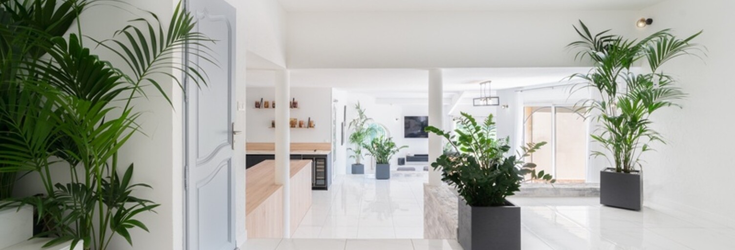 Maison 10 Pièces 245 m² à vendre à Juvignac (34990)