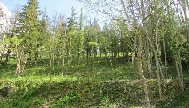 Terrain  à vendre Cherisy 28500