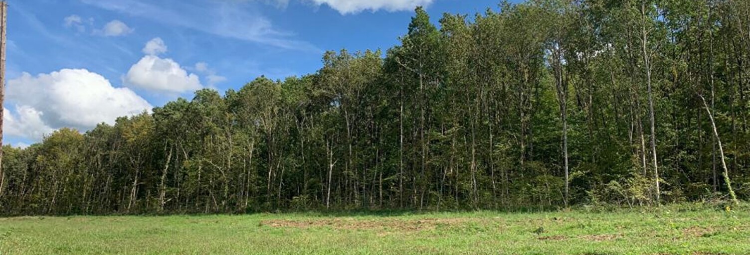 Terrain  915 m² à vendre à Offemont (90300)