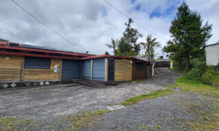 Maison 10 Pièces 280 m² à vendre à La Plaine-des-Palmistes (97431)