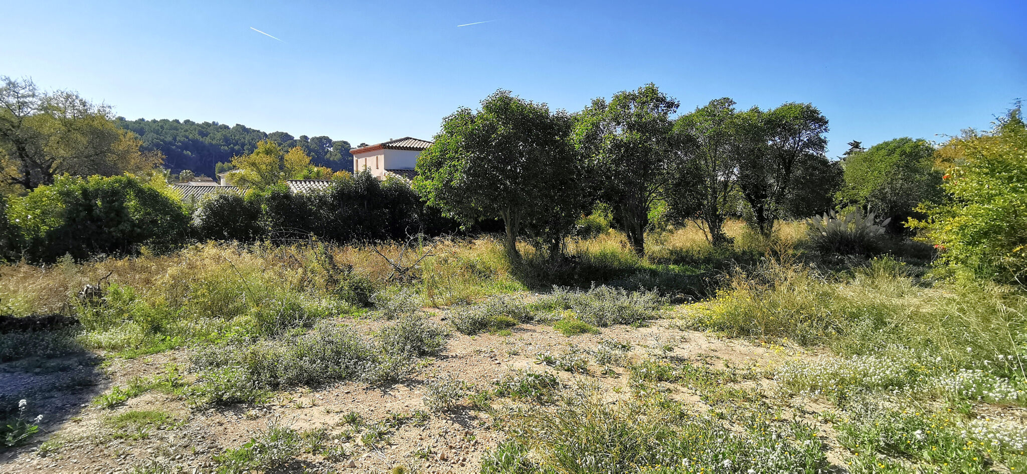 Terrain  à vendre Cassis 13260