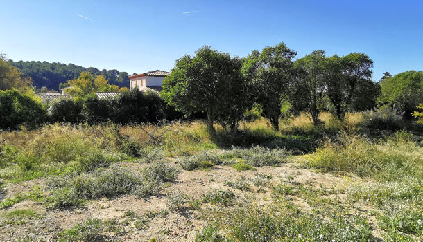 Terrain  à vendre Cassis 13260