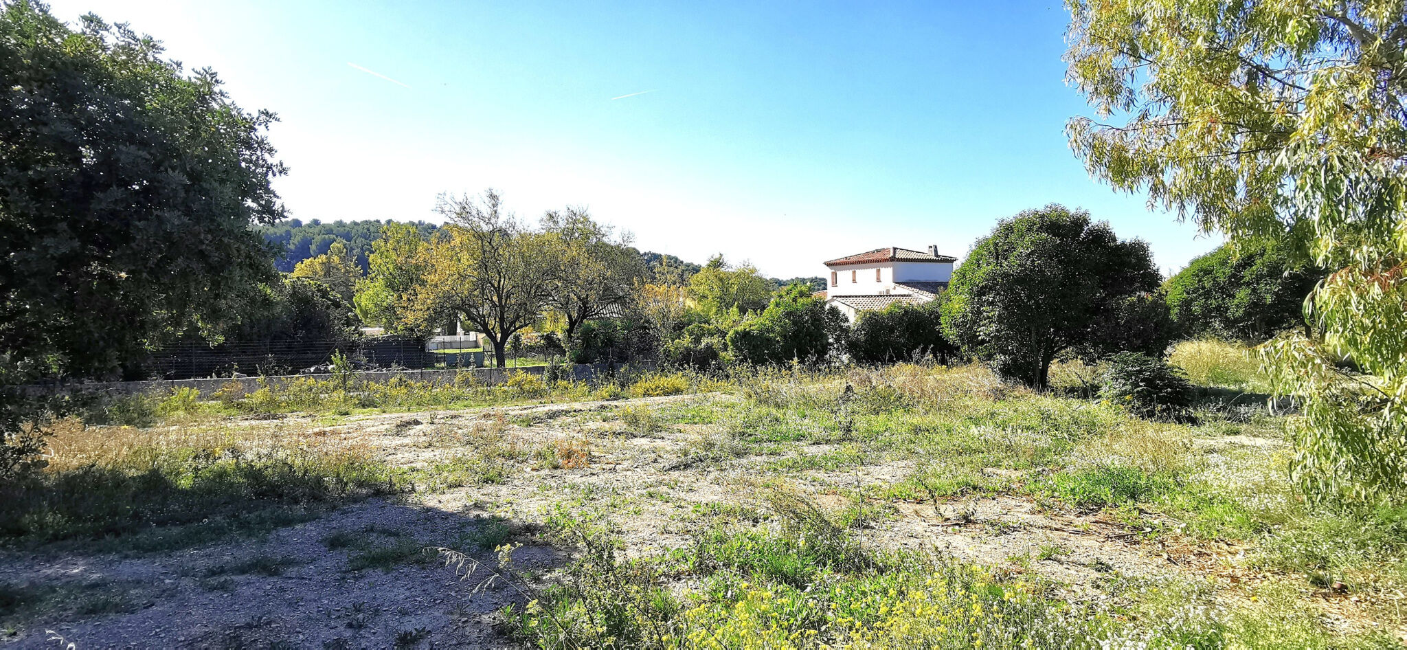 Terrain  à vendre Cassis 13260