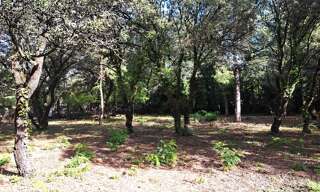 Terrain 720 m² à construire Cabrières-d'Avignon (84220)