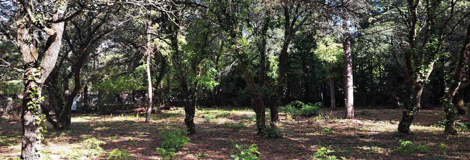 Terrain 720 m² à construire Cabrières-d'Avignon (84220)