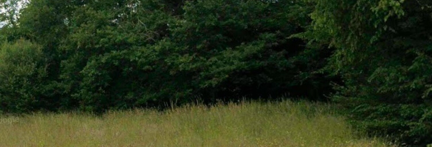 Terrain  1412 m² à vendre à Plumieux (22210)