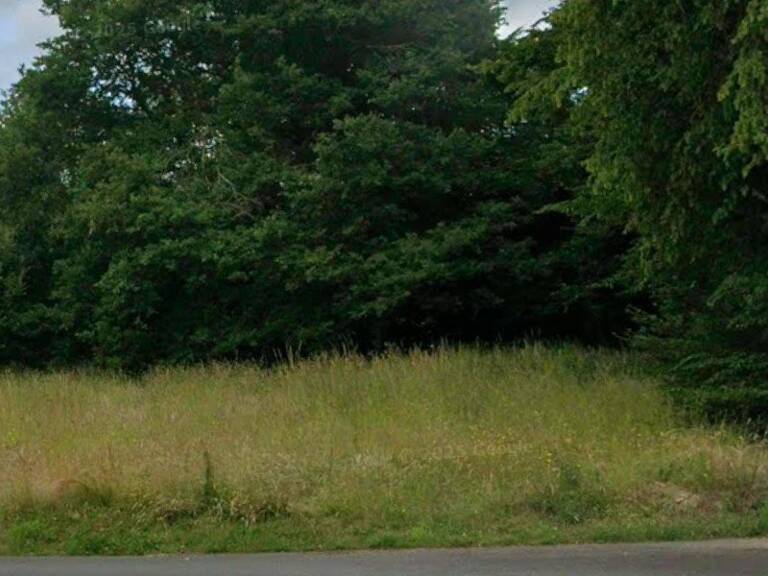Terrain — photo 1