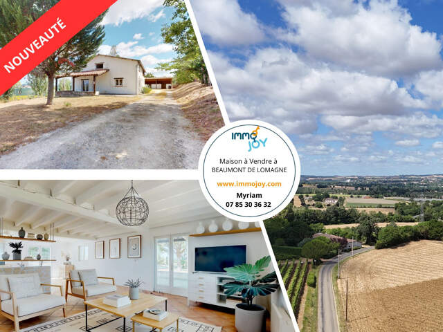 Maison à Vendre BEAUMONT DE LOMAGNE — photo du bien