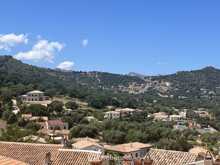 Appartement - 48m² - Calenzana — photo 1