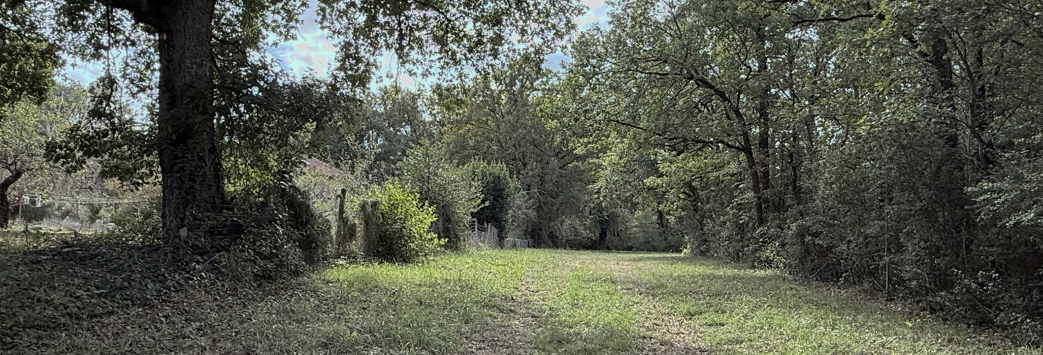 Terrain  2615 m² à vendre à Cépet (31620)