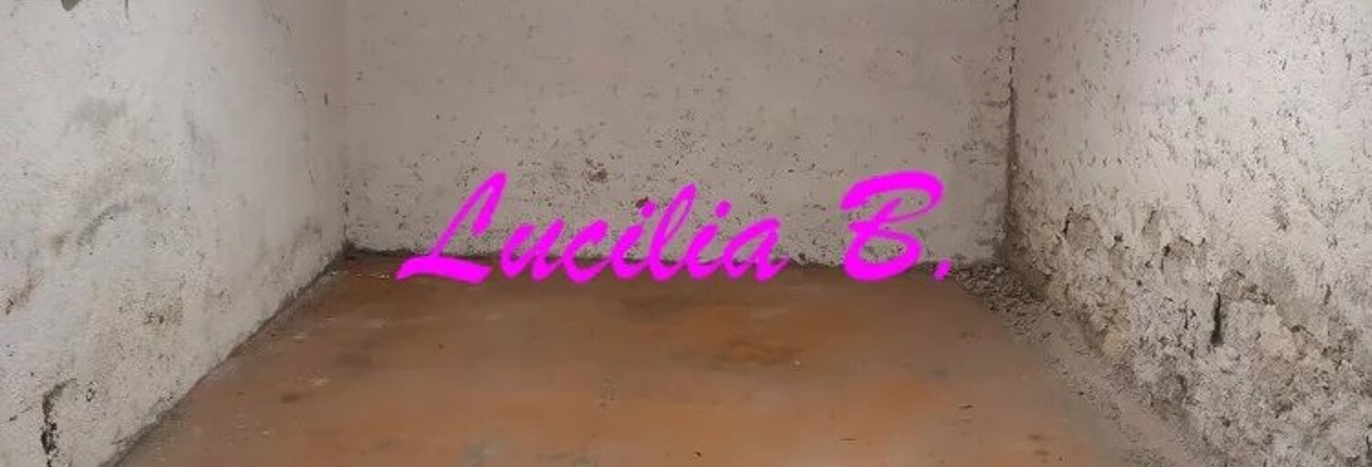 Garage  14 m² à louer à Tours (37000)