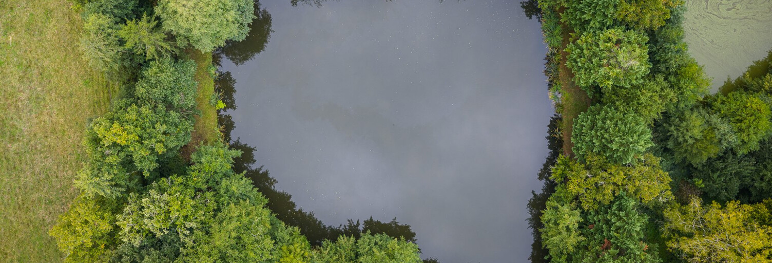 Terrain  4215 m² à vendre à Fougerolles (36230)