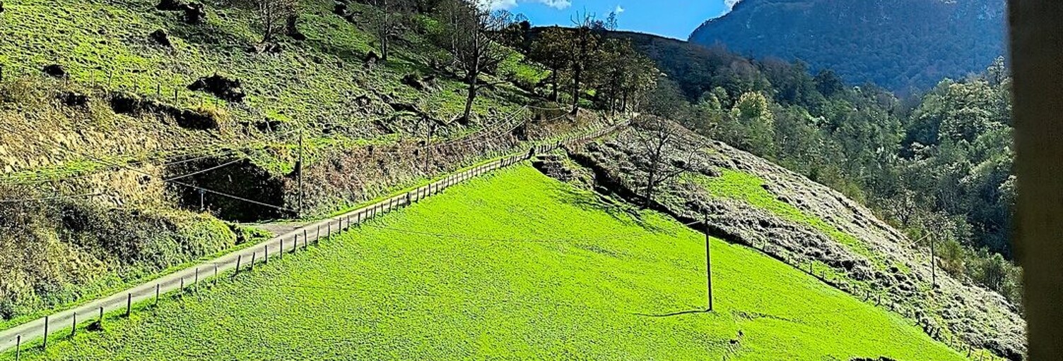 Maison 5 Pièces 149 m² à vendre à Arette (64570)