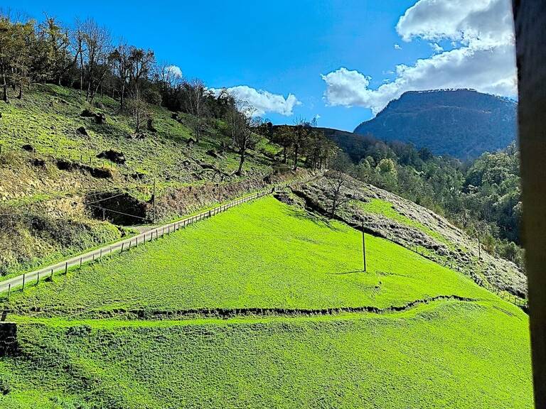 FERME BÉARNAISE AVEC 15 ha — photo 1