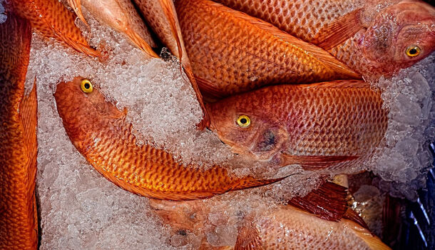 Local commercial  à vendre Canet-en-Roussillon 66140